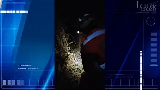 Jiboia é capturada após atacar galinhas em quintal de residência