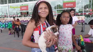 Festival de doações de animais acontecerá neste sábado