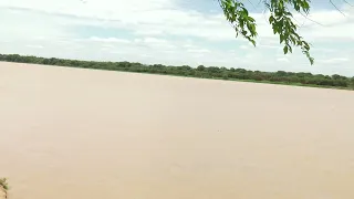 São Francisco ultrapassa cota de inundação e mantem tendência de alta