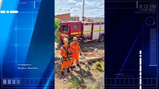 Bombeiros resgatam cachorrinho que caiu em galeria pluvial