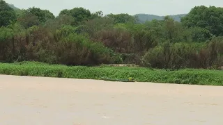 Nível do Rio São Francisco segue apresentando tendência de queda