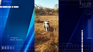 Acidentes em estradas de nossa região. Confira!