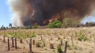 Incêndio castiga região rural de Januária