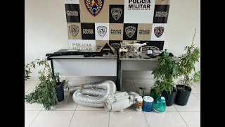 Ação integrada resulta na apreensão de armas e cultivo de drogas