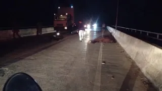 Animais sobre a ponte do Rio São Francisco provocam acidente