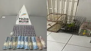 Casal preso com drogas e animais da fauna