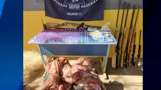Após denúncia, PM localiza drogas, armas e até capivaras abatidas