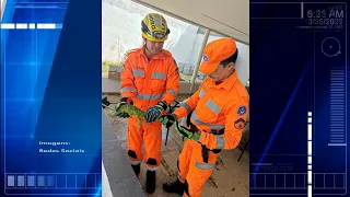 Bombeiros atendem ocorrência de captura de animal silvestre perigoso e agressivo