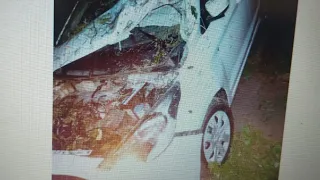 Árvore cai sobre carro durante viagem