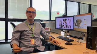 Saiba como funciona o Sistema Estadual de Identificação de Animais Domésticos