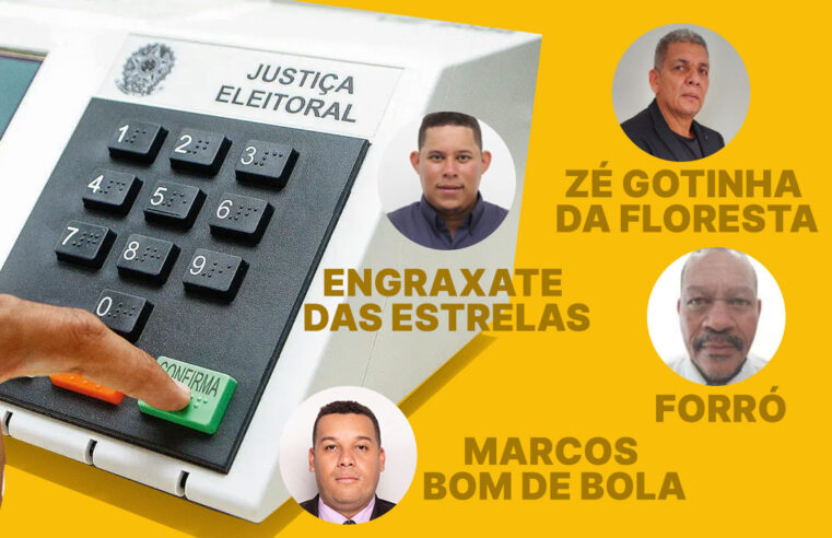 Solteiro e Soneca Paredão: nas eleições de 2024, candidatos com nomes divertidos chamam atenção.