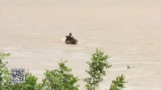 950 mil pescadores e pescadoras artesanais não enviaram o REAP no prazo