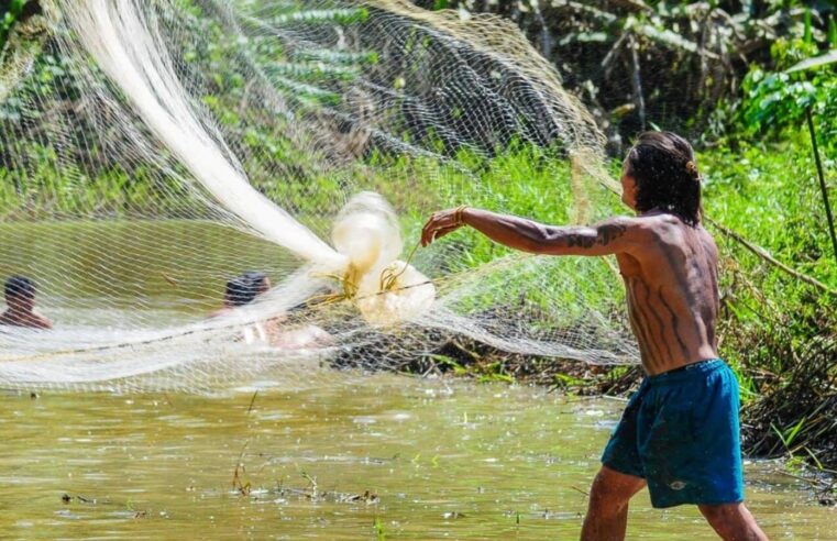 Seguro-defeso: pescadores precisam enviar REAP pelo PesqBrasil até esta quarta-feira (31) 