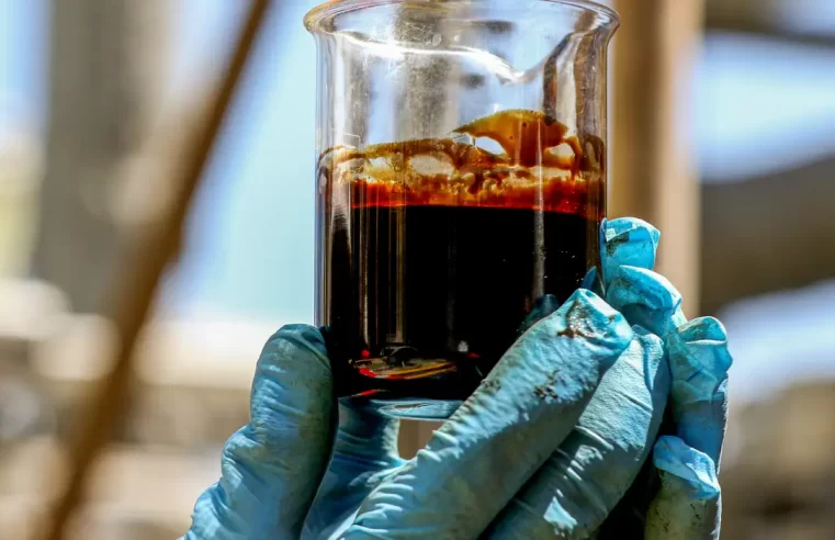 ANP repassa mais R$ 1,3 bilhão em royalties de petróleo a estados e municípios