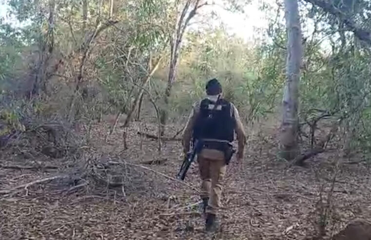 Após perseguição na mata homicida é preso