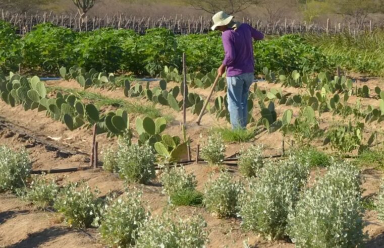 CEP Rural: CCJ aprova projeto que cria código de georreferenciamento para propriedades rurais