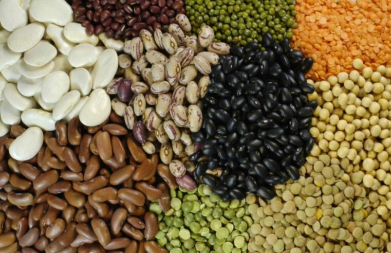 Exportações de pulses do Brasil sobem 30% em 2025, com destaque para o feijão