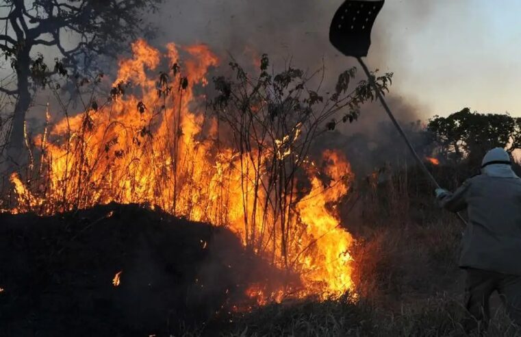 Brasil tem aumento de 107% nos focos de incêndios florestais.