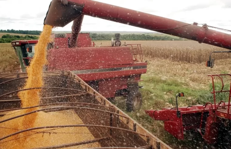 Valor Bruto da Produção do Agro atinge R$1,4 trilhão em agosto