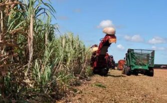 Seguro Rural Benefício pode ganhar reforço de saldos remanescentes do PISPasep.