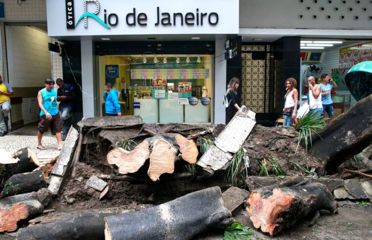 Senado aprova descriminalização de poda de árvore em caso de risco de acidente