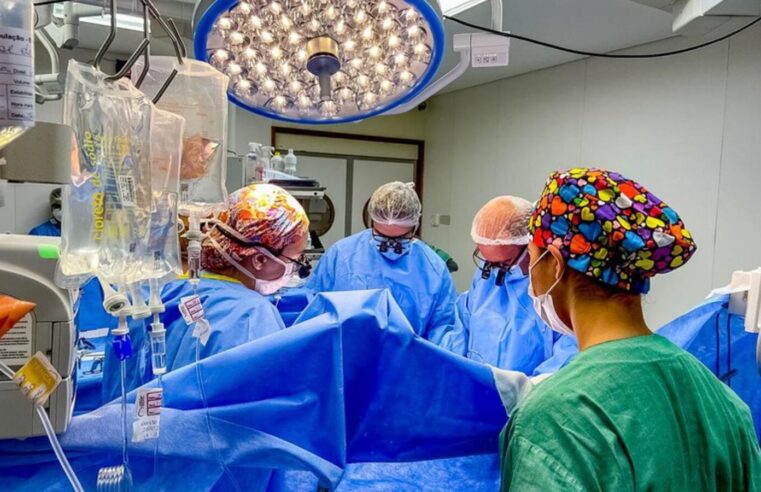 Macrorregionalização: Ministério da Saúde redefine distribuição de órgãos para transplantes